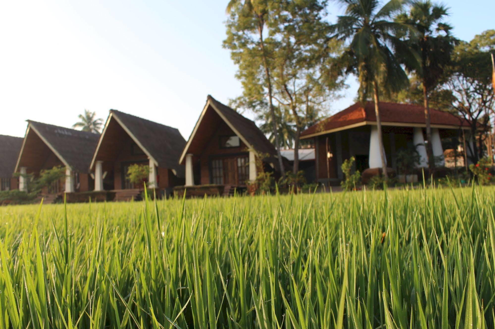 Avasta Resort And Spa Anuradhapura Εξωτερικό φωτογραφία