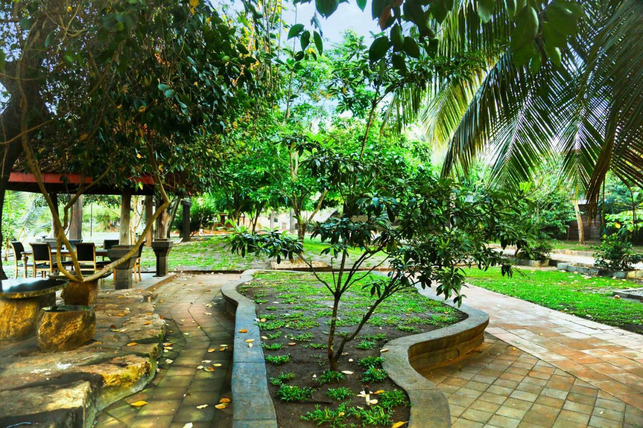 Avasta Resort And Spa Anuradhapura Εξωτερικό φωτογραφία